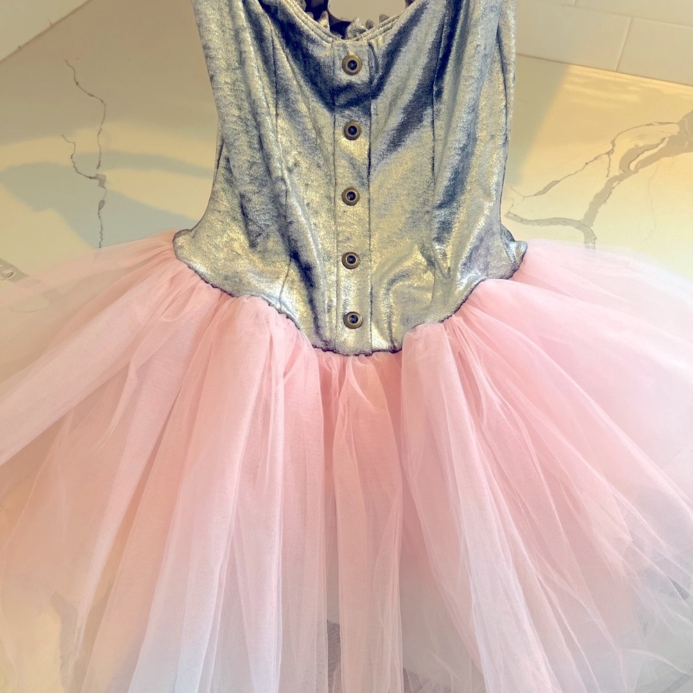 COPY - Ballerina Degas pink and silver tutu costume